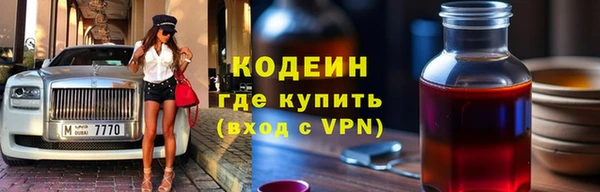 индика Абаза