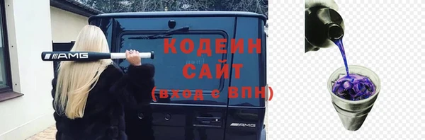индика Абаза