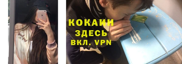 индика Абаза
