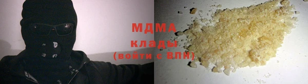 индика Абаза