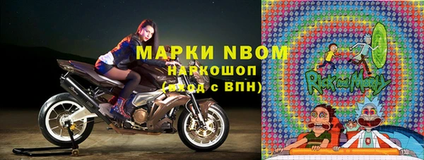 индика Абаза