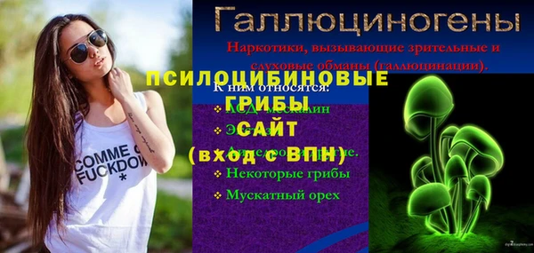 индика Абаза