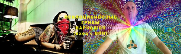 индика Абаза