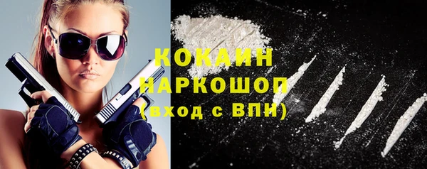 индика Абаза