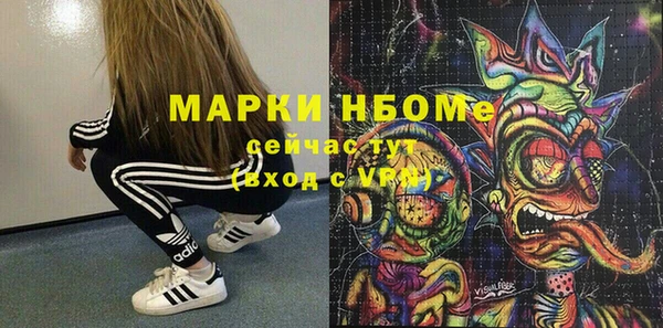 индика Абаза
