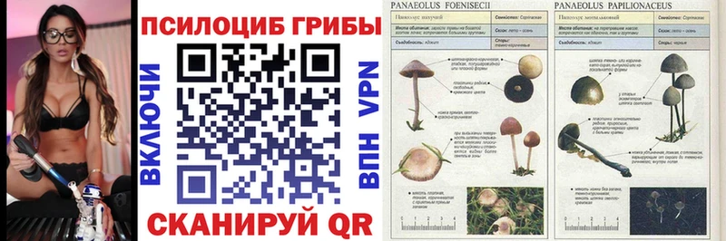 Псилоцибиновые грибы GOLDEN TEACHER  гидра как войти  Екатеринбург  что такое наркотик 
